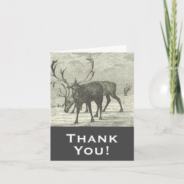 Carte Renard de style vintage "Merci" ! (Devant)