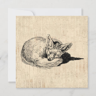 Carte Renard dormant Illustré Art mignon animal Vintage