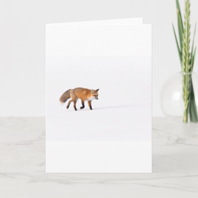 Carte Renard rouge (Devant)