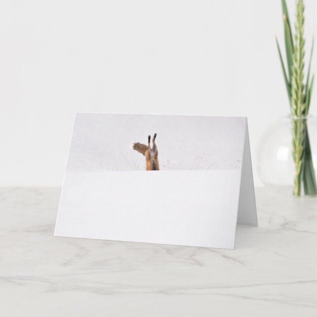 Carte Renard rouge (Devant)