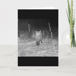 Carte Renard Rouge Époustouflant dans l'Art de la Faune
