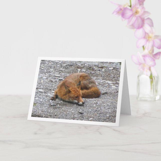 Carte Renard Rouge sur la Route (Orchidée)