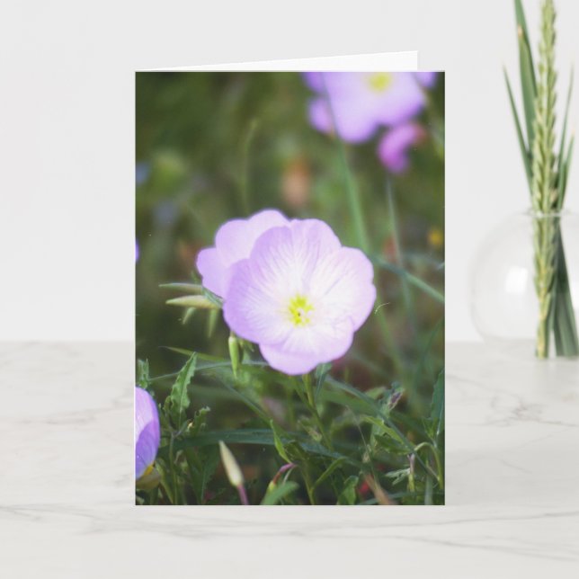 Carte Renoncules (Devant)