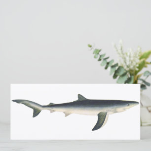 Carte Requin Bleu, Vie Maritime Aquatique Océanique Vint