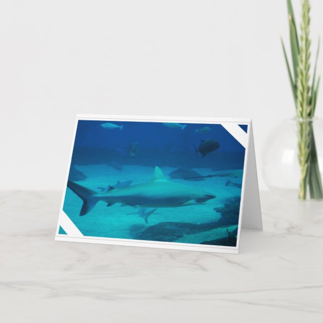 Carte Requins (Devant)