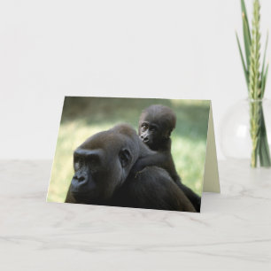 Carte Réserve faunique - Primates 11