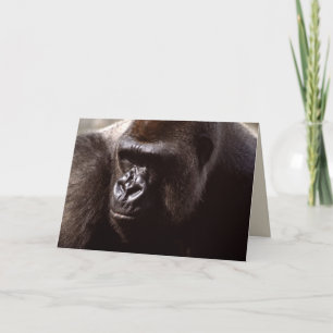 Carte Réserve faunique - Primates 13