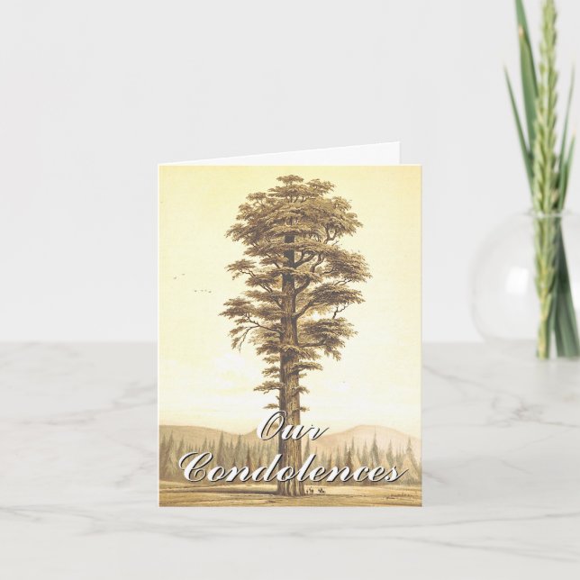 Carte Respectable et élégante "Nos condoléances... (Devant)