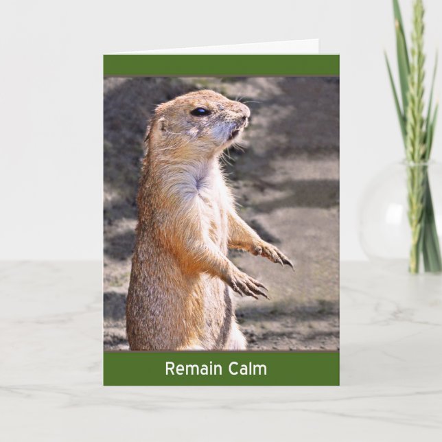 Carte Restez calme (Devant)