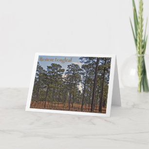 Carte Restore Longleaf