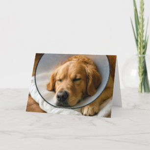 Carte Rétablissement rapide Golden Retriever