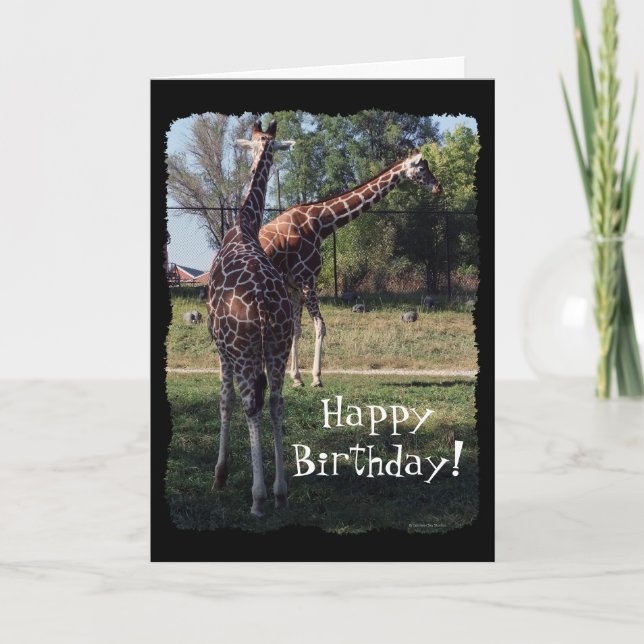 Carte Reticulated Giraffes Birthday Card (Devant)
