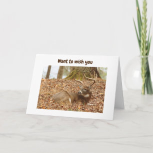 Carte RETOURNÉ DEER DIT HEUREUX 60e ANNIVERSAIRE