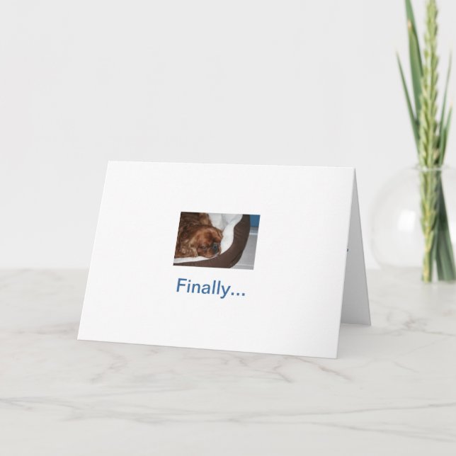 Carte Retraite de chien idiot (Devant)