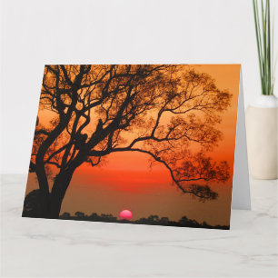 Carte retraite de coucher de soleil gros