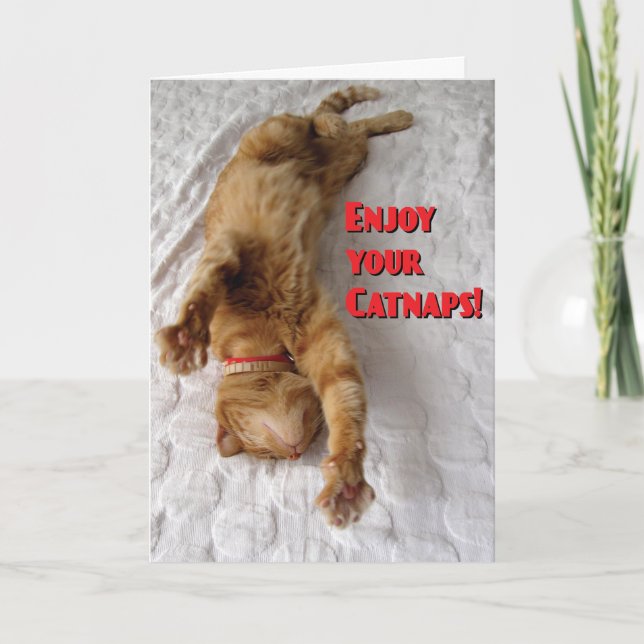 Carte Retraite des Amoureux de les chats (Devant)