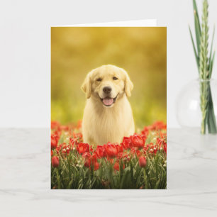Carte Retraite d'or en fleurs rouges