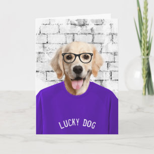 Carte Retriever Doré Avec Chemise Violette