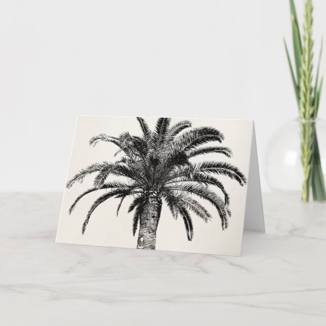 Carte Rétro palmier tropical d'île en noir et blanc (Devant)