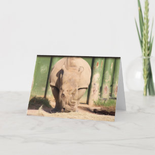 Carte rhinocéros blanc