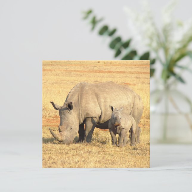Carte rhinocéros mignons en afrique (Debout devant)