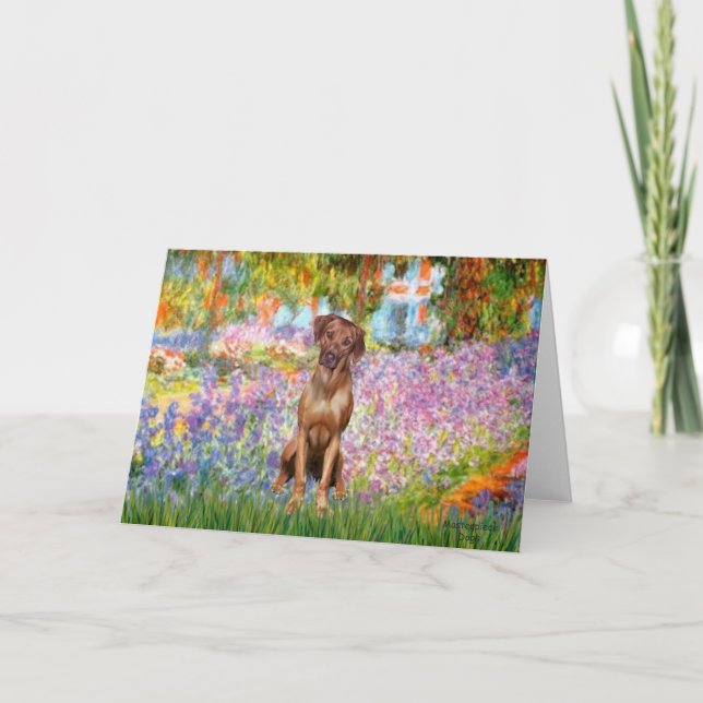 Carte Rhodesian Ridgeback 1 - Jardin (Devant)