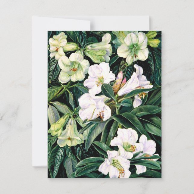 Carte Rhododendron de l'Inde du Nord (Devant)