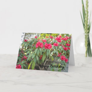 Carte Rhododendron rouge