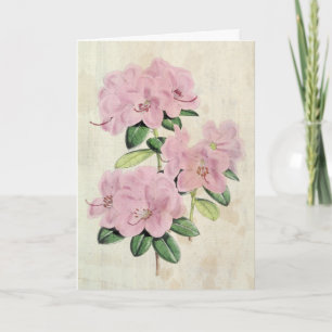 Carte Rhododendron Vintage à fleurs précoces