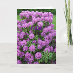 Carte Rhododendrone