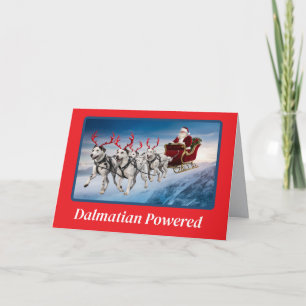 Carte Rindeer dalmate