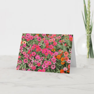 Carte Riotious pink