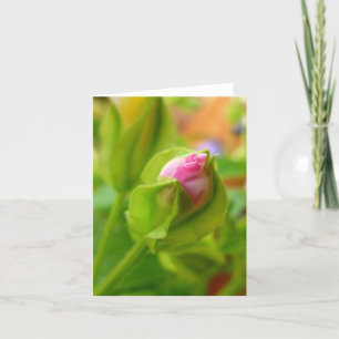 Carte Risque à la fleur