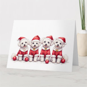 Carte Robe de Noël Bichon Frise Chapeau de Père Noël