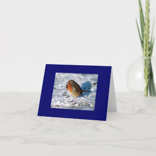 Carte Robin dans les Snow Note