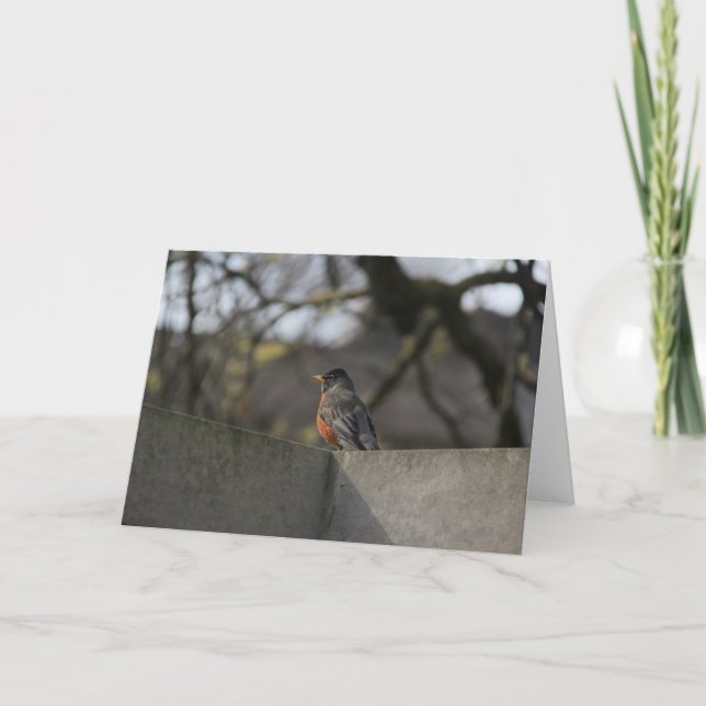 Carte Robin sur le mur (Devant)