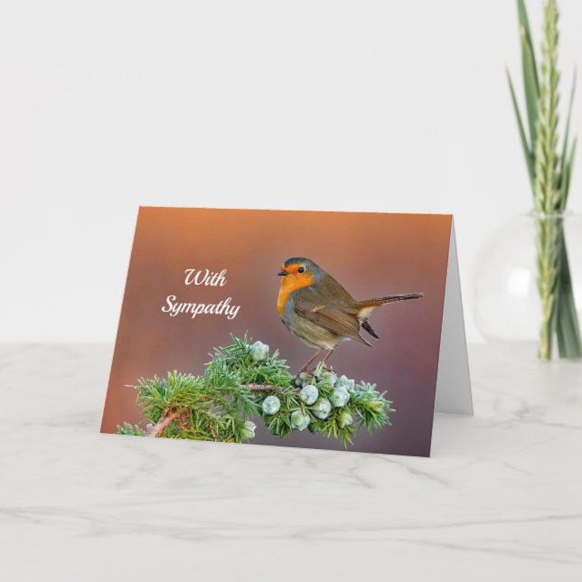 Carte Robin Sympathy (Devant)
