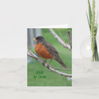 Robin, Thinkin" de vous, acclamation