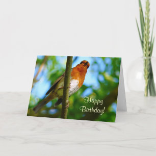 CARTE ROBINS
