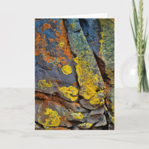 Carte Rochers couverts de lichen