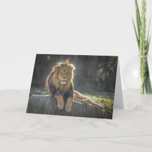 Carte Roi Lion de la jungle