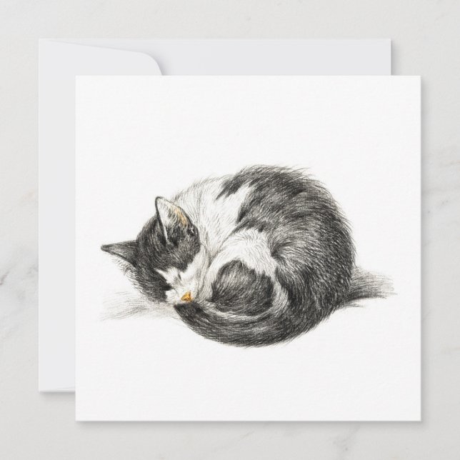Carte Rolled vers le haut couché chat (1825) (Devant)