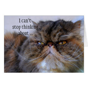 Carte romantique Calico Persian Kitty Card