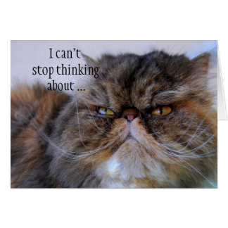 Carte romantique Calico Persian Kitty Card