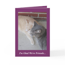 Romeo et Russ les chats que je suis heureux nous