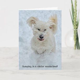 Carte Romping Dog dans un pays merveilleux d'hiver