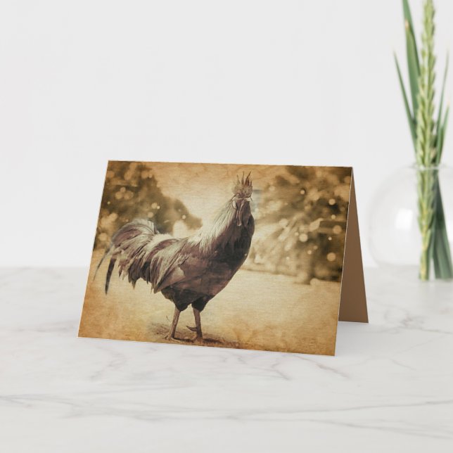Carte Rooster photo Vintage (Devant)