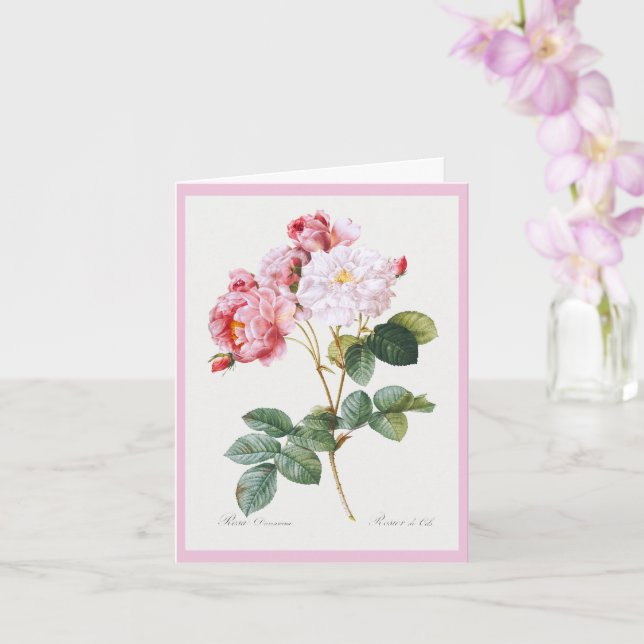 Carte Rosa Damascena, Joyeux anniversaire (Orchidée)