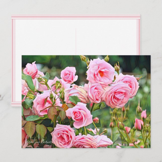 Carte Rosa Gene Boerner: Flat Card (Devant / Derrière)