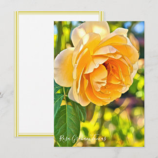 Carte Rosa Graham Tomas: Flat Card